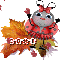 0000uillesautomnecoxi_1