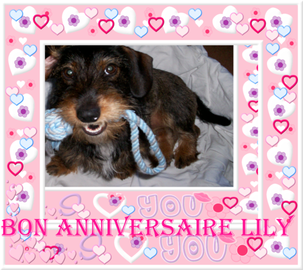 BON ANNIVERSAIRE A MA LILY /3 ANS CE 27 JANVIER 2018
