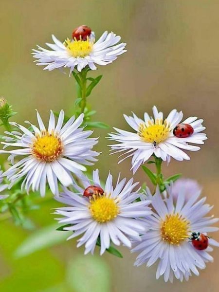 220207262_2366817046783625_9014262137357779821_n