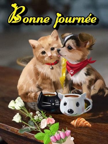 361644030_849497146538096_5611859216383927677_n