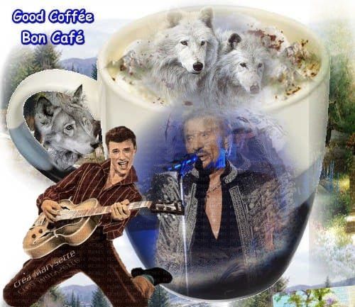 361669477_849497783204699_5096999982664696206_n