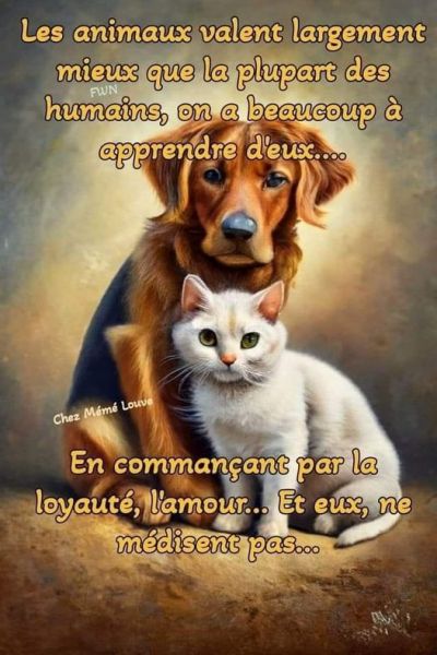 442414599_977764180564266_7087218521175044573_n