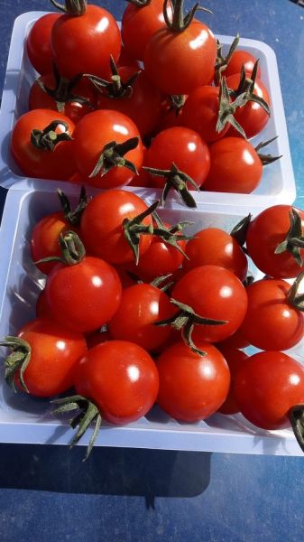 448997296_316525921530115_3655616529696768401_n