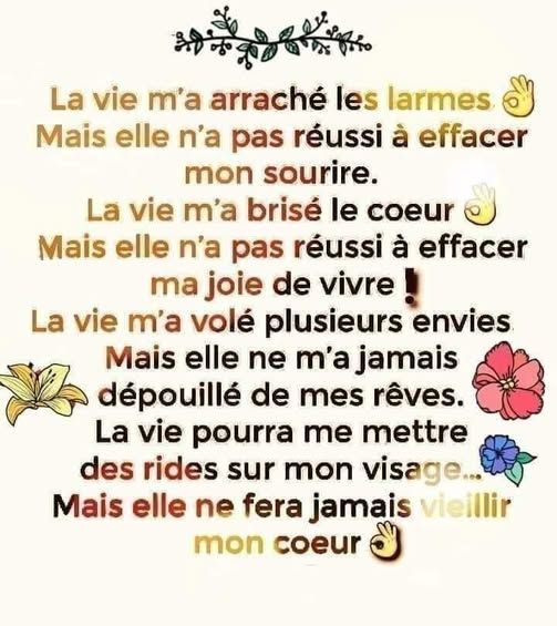 484376938_4033110700253729_1801505821584289783_n