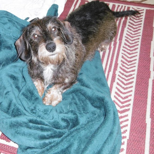 490061924_10228590437246106_9093367354091527018_n