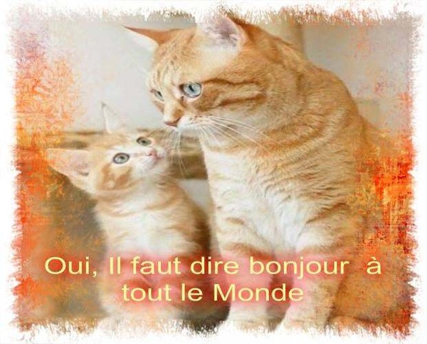 BONJOUR TOUT LE MONDE/BON JEUDI/GRISAILLE/BISOUS