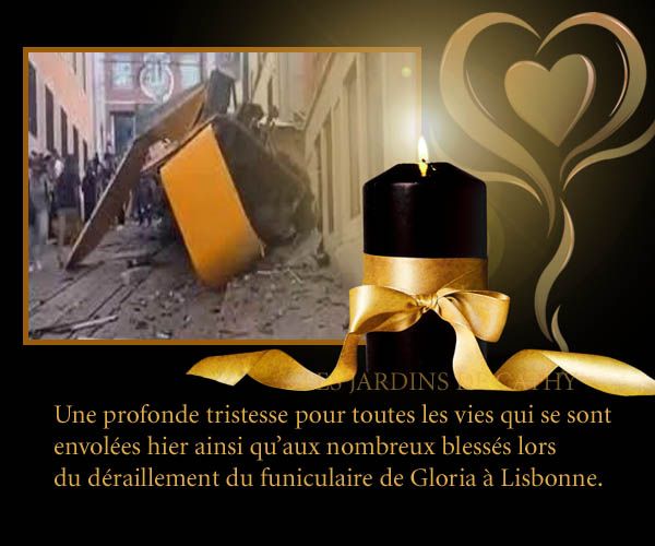 541816274_1376739177792757_1241479929195120996_n