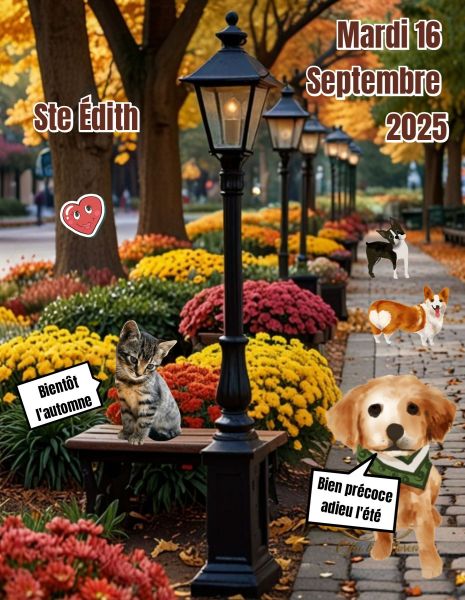 546403477_1362549072543177_2778738935388373495_n