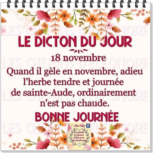 584074146_816280921386403_2666670177033046108_n