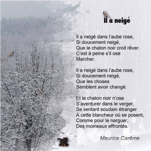 584442959_1296302415850104_6911347141959141324_n