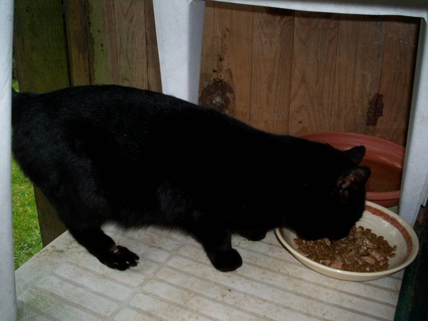 VAGABOND VOUS SOUHAITE UN BON DIMANCHE /MERCI HUGUETTE