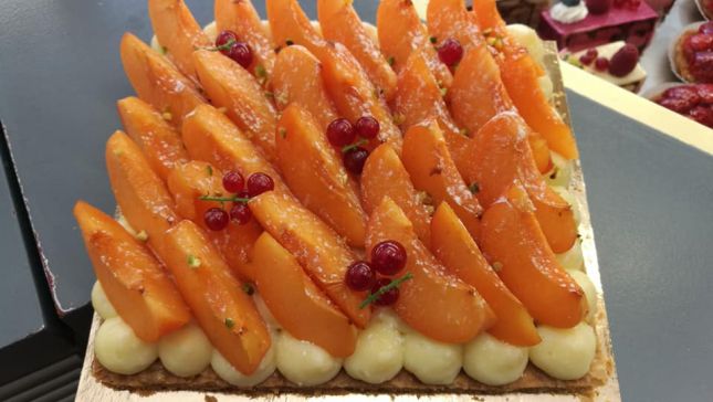 65997848_1462359233906745_5829971513620561920_n