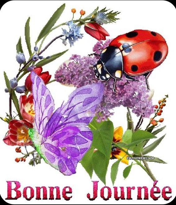 BON JEUDI AVEC DES AVERSES ET DU VENT/BISOUS