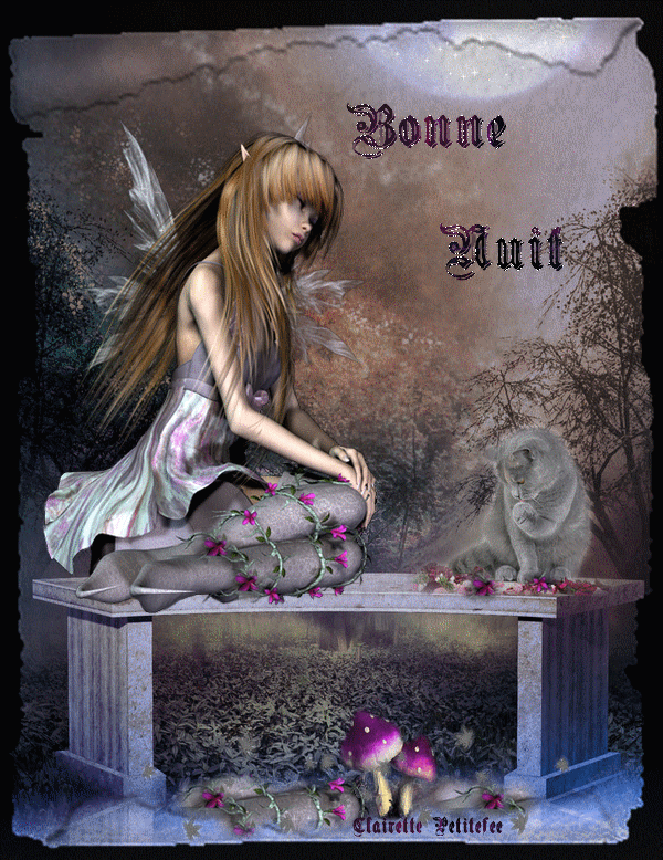 Image du Blog latanierededilou.centerblog.net