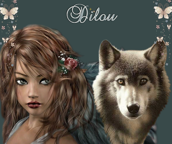 diloudesophie