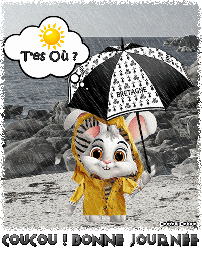 image_0946180_20230727_ob_18de3c_temps-tres-pluvieux-sur-le-finistere