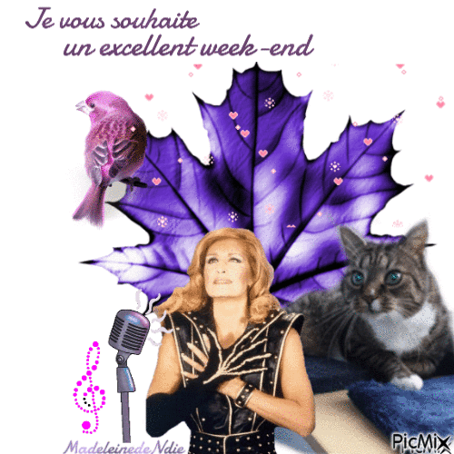 weekend_tous_13223822_a024f